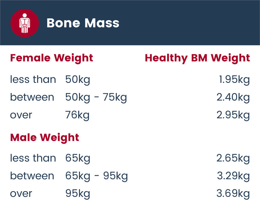 Bone Mass Learn More About Your Bones Tanita Europe