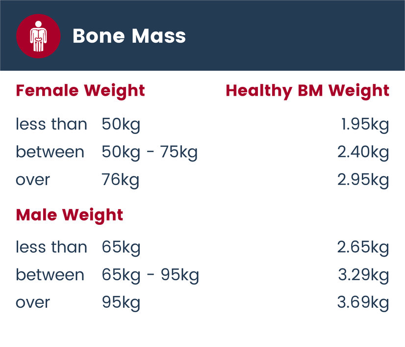 How Do You Say Bone Mass In Spanish