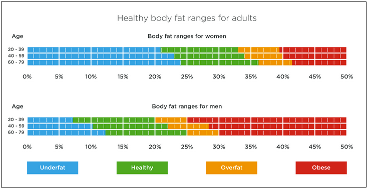 what-is-a-healthy-body-fat-percentage-tanita-europe